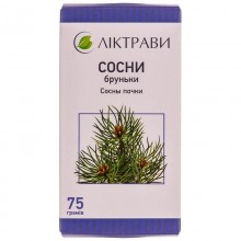 Buy Pine tree Tea (Pack) 75 g