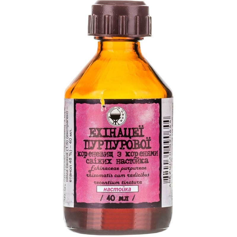 Buy Echinacea tincture Bottle 40 ml