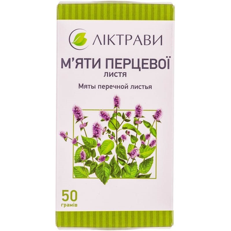 Buy Mint leaf Tea (Pack) 50 g
