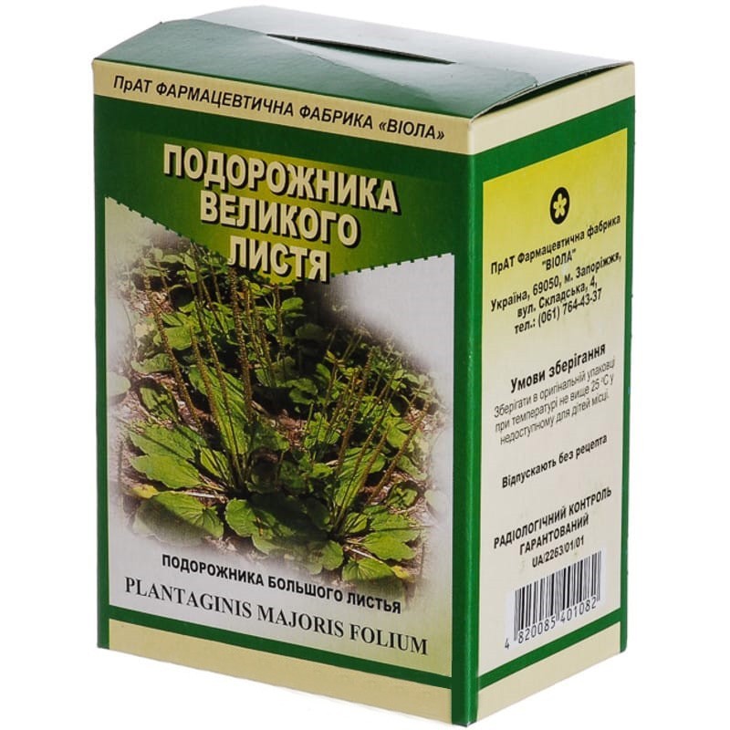 Buy Plantain leaf Tea (Pack) 50 g